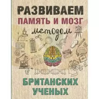 Развиваем память и мозг методом британских ученых