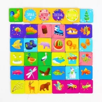 Развивающая игра «Сортер: Окружающий мир» 32 фишки