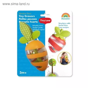 Развивающая игрушка «Морковка и Клубничка»