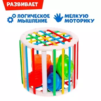 Развивающий набор «Мой сортер», 6 элементов, 1+