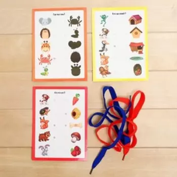 Развивающий набор с шнурком «Найди пару» животные, в пакете