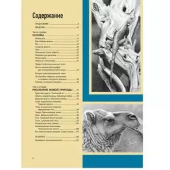 Реалистичные рисунки животных. Колдуэлл Р.