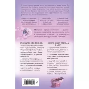 Регрессология и матрица судьбы. Терапия прошлых жизней. Драбик И.Б.