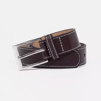 Ремень мужской, ширина 2,8 см, пряжка металл, цвет коричневый