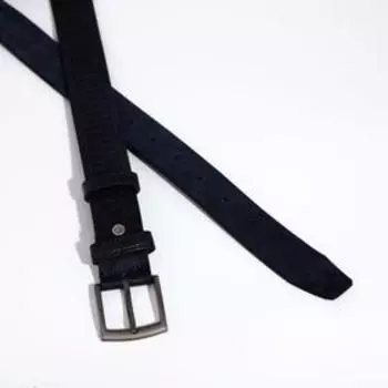 Ремень мужской, ширина 3,5 см, винт, пряжка металл, цвет синий