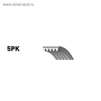 Ремень приводной CONTITECH 5PK1715