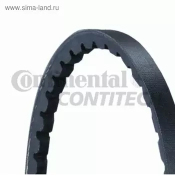Ремень приводной Contitech AVX10X1000