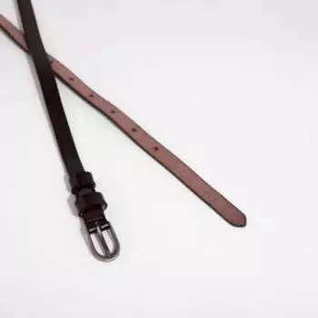 Ремень женский, ширина 1,4 см, винт, пряжка тёмный металл, цвет коричневый