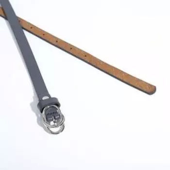 Ремень женский, ширина 1,5 см, винт, пряжка металл, цвет серый