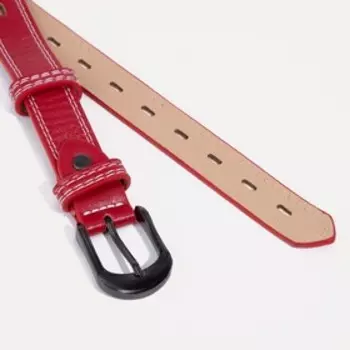 Ремень женский, ширина 2,4 см, винт, пряжка металл, цвет красный