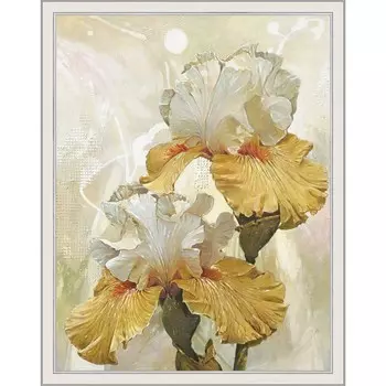 Репродукция картины «Романтические ирисы. №2», 50х65, рама (45-A355)