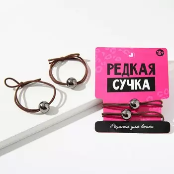Резинки для волос «Редкая сучка», 2 шт.