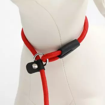 Ринговка для собак, 1300.6 см, красная