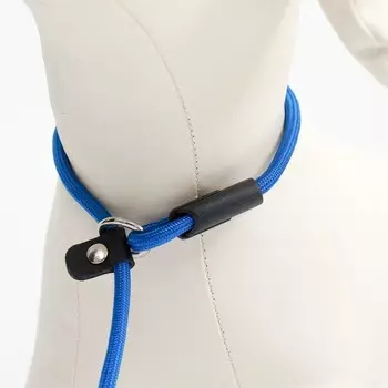 Ринговка для собак, 1300.6 см, синяя