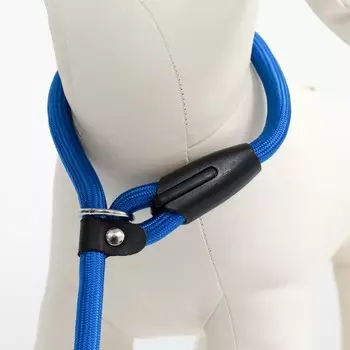 Ринговка для собак, 1301 см, синяя