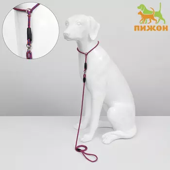 Ринговка для собак, с вертлюгом, 1500.6 см, красная/синяя