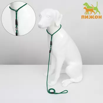 Ринговка для собак, с вертлюгом, 1500.6 см, чёрная/зелёная