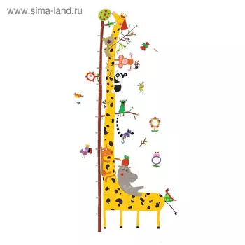 Ростомер с наклейками «Друзья с Амазонки»