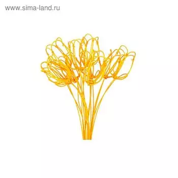 Ротанг, тюльпаны на пике, ярко-оранжевый, набор 10 шт