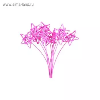 Ротанг, звезды на пике, ярко-розовые, набор 10 шт