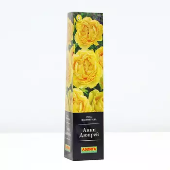 Роза Анни Дюпрей, 1 шт, Весна 2024