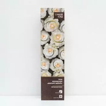 Роза флорибунда Маргарет Мерилл (в тубе) 1 шт, 2/3 стебля