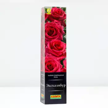 Роза Экскалибур, 1 шт, Весна 2024