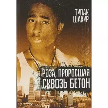 Роза, проросшая сквозь бетон. Тупак Шакур