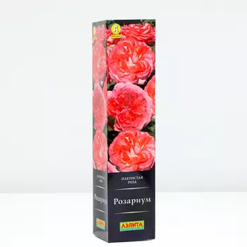 Роза Розариум, 1 шт, Весна 2024