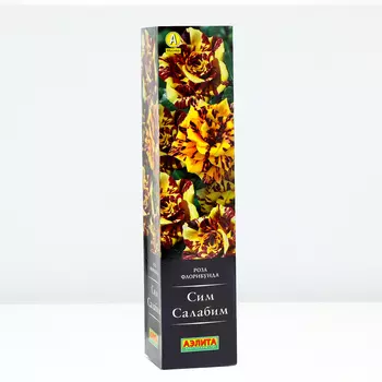 Роза Сим Салабим, 1 шт, Весна 2024