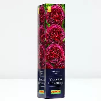 Роза Уильям Шекспир, 1 шт, Весна 2024