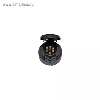 Розетка для ТСУ 7 контактов