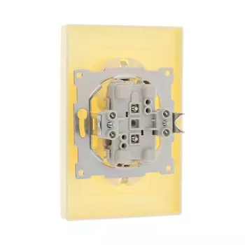 Розетка двухместная Luazon Lighting "Антей", 16 А, скрытая, с з/к, бежевая