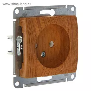 Розетка "Glossa" SchE GSL000341, 16 А, одноместная, скрытая, без з/к, цвет дуб