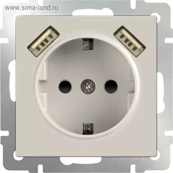 Розетка с заземлением, шторками и USBх2 WL03-SKGS-USBx2-IP20, цвет слоновая кость