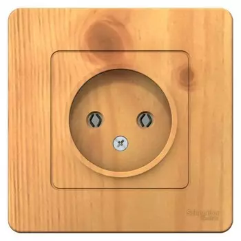 Розетка SchE BLNRS000015 Blanca, СП, IP20