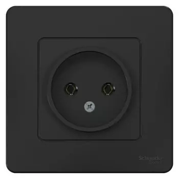 Розетка SchE BLNRS000016 Blanca, СП, IP20