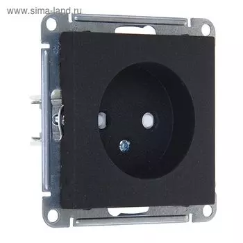 Розетка "W59" SchE RS16-151-6-86, цвет черный бархат