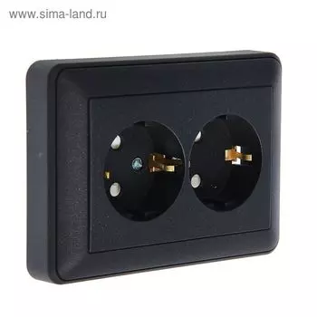Розетка "W59" SchE RS16-255-68, 16 А, двухместная, скрытая, с з/к, цвет черный бархат