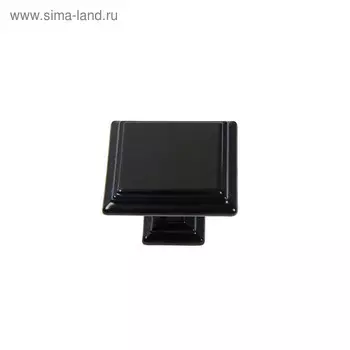 Ручка-кнопка ТУНДРА РК119BL, черная