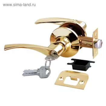 Ручка защелка фалевая RUCETTI HK-02 L PG, ключ-завертка, цвет золото