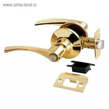 Ручка защелка фалевая RUCETTI HK-02 WC PG, сан.тех.завертка, цвет золото