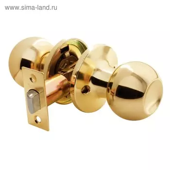 Ручка защелка RUCETTI HK-01 PG, цвет золото