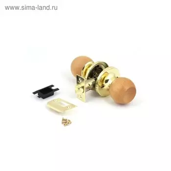 Ручка-защёлка AVERS 6072-05-G/Beech, пустая, цвет золото/светлое дерево