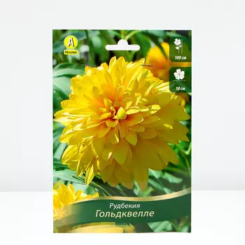 Рудбекия Гольдквелле, 1 шт, Весна 2024