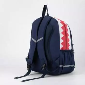 Рюкзак, 2 отдела на молниях, наружный карман, 2 боковых кармана, цвет синий