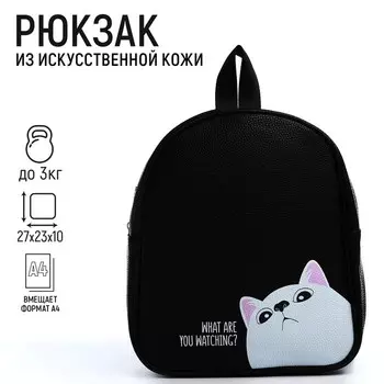 Рюкзак из искусственной кожи What are you watching, 272310 см
