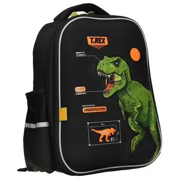 Рюкзак каркасный GoPack 165 Dinosaur, 38 х 28 х 13 см, эргономичная спинка