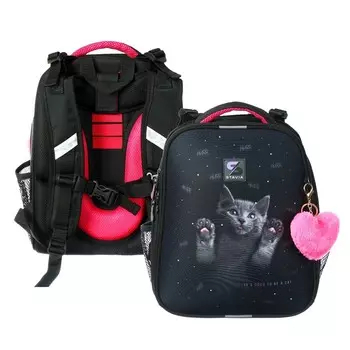 Рюкзак каркасный школьный 38 х 30 х 16 см, эргономичная спинка, Stavia "Кот", чёрный