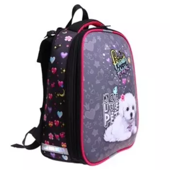 Рюкзак каркасный школьный 38 х 30 х 16 см, эргономичная спинка, Stavia "Белая собачка"